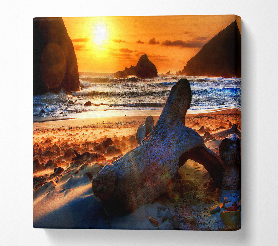 A Canvas Print of Driftwood At Sunset Canvas Art