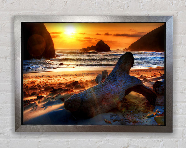 Driftwood At Sunset Framed Print