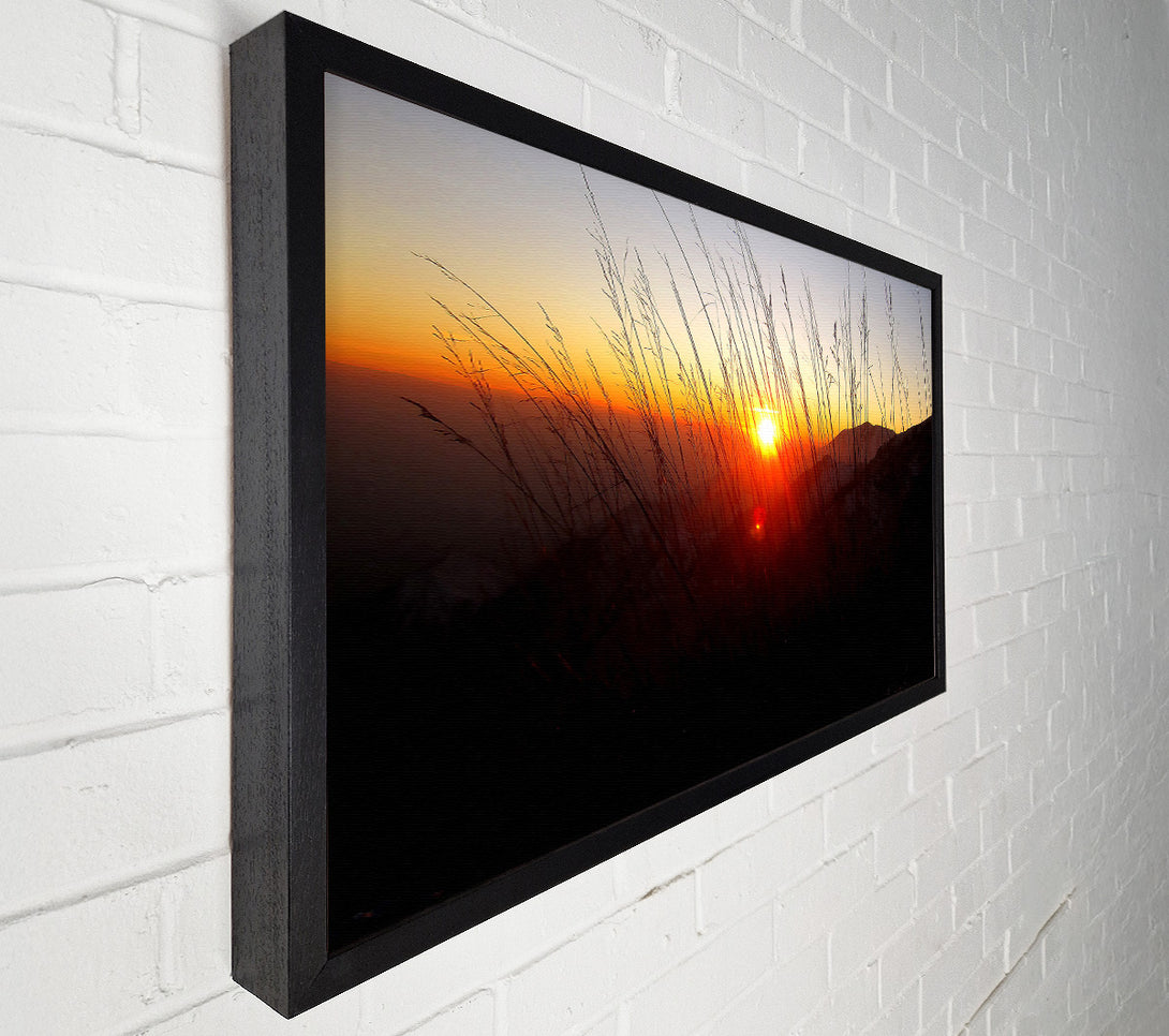  A Canvas Print of Dusk Through The Reeds Canvas Print
