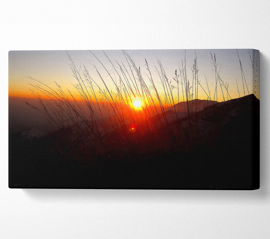  A Canvas Print of Dusk Through The Reeds Canvas Print