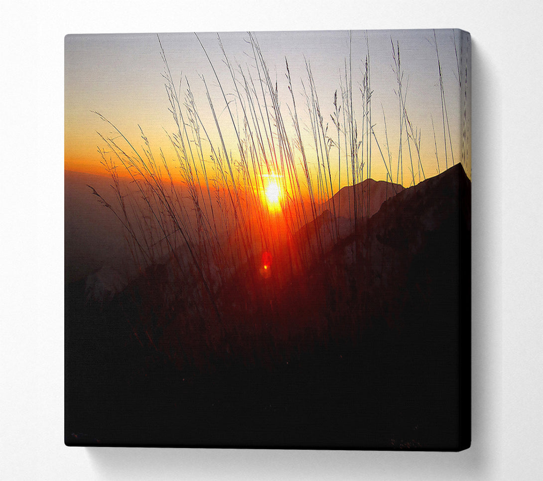  A Canvas Print of Dusk Through The Reeds Canvas Print
