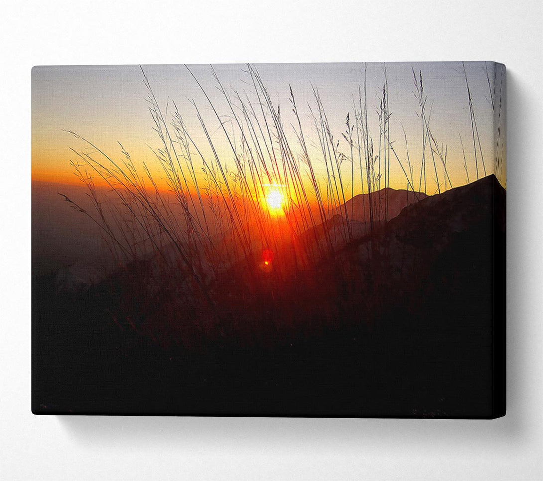  A Canvas Print of Dusk Through The Reeds Canvas Print