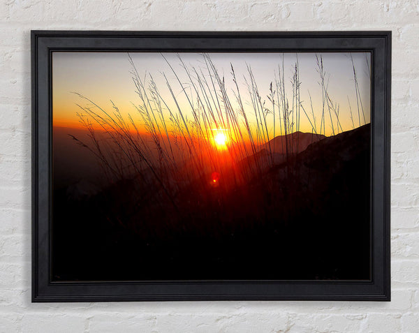 Dusk Through The Reeds Framed Print