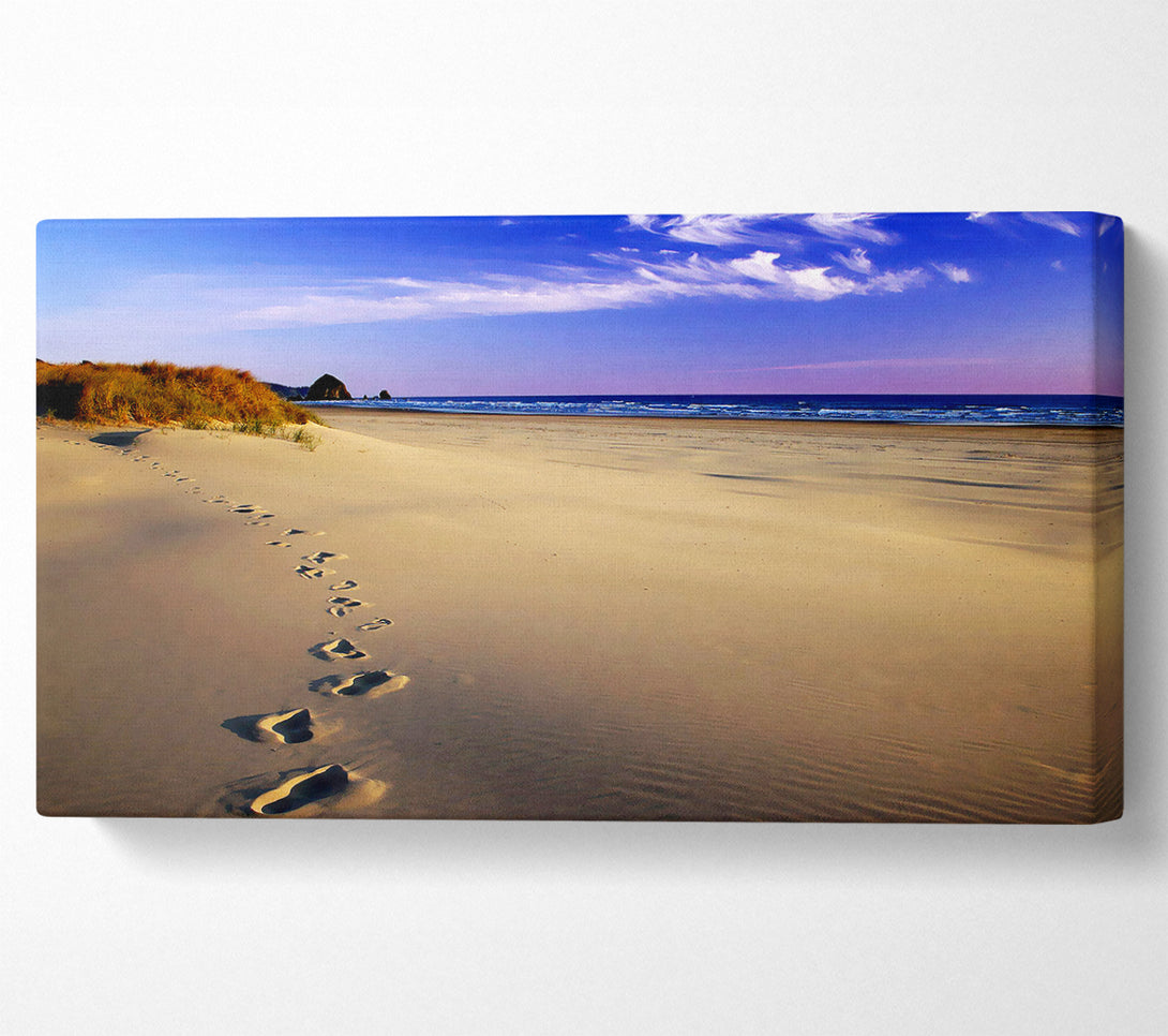  A Canvas Print of Footprints Of Time Canvas Wall Art