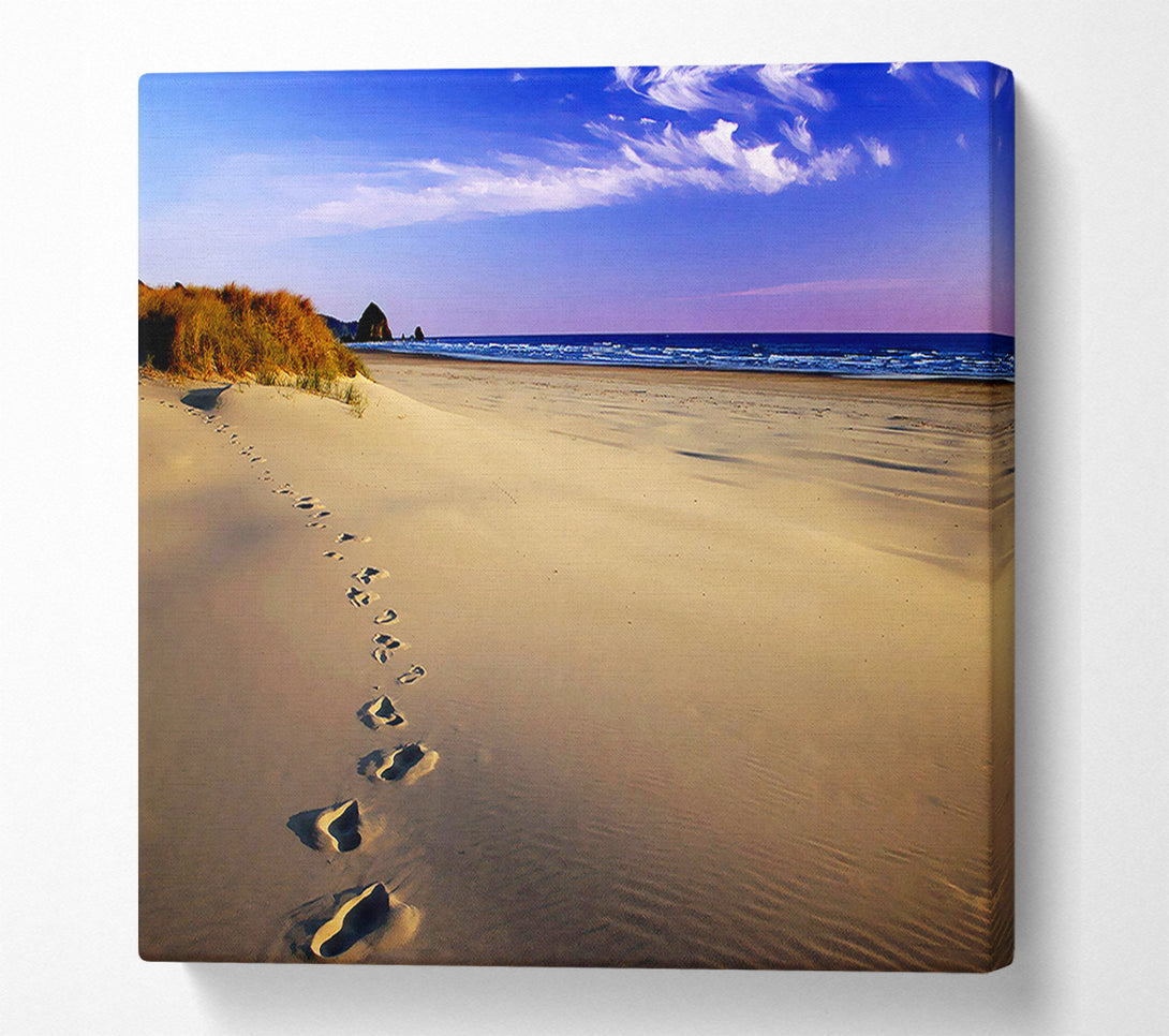  A Canvas Print of Footprints Of Time Canvas Wall Art