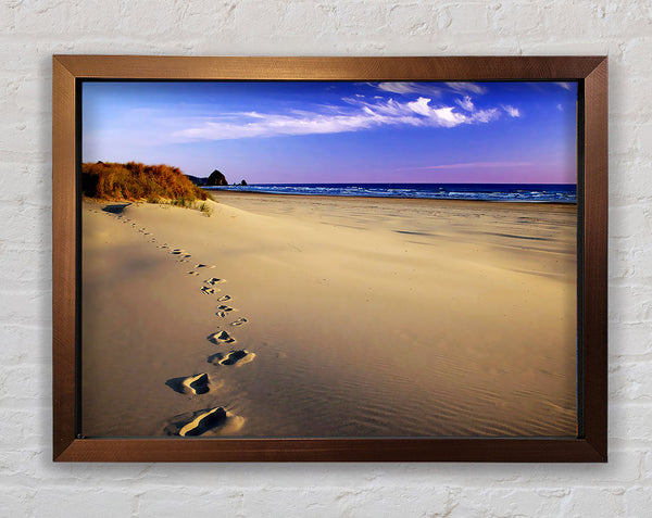 Footprints Of Time Framed Print