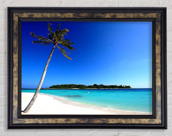 Maldivian Beach Framed Print