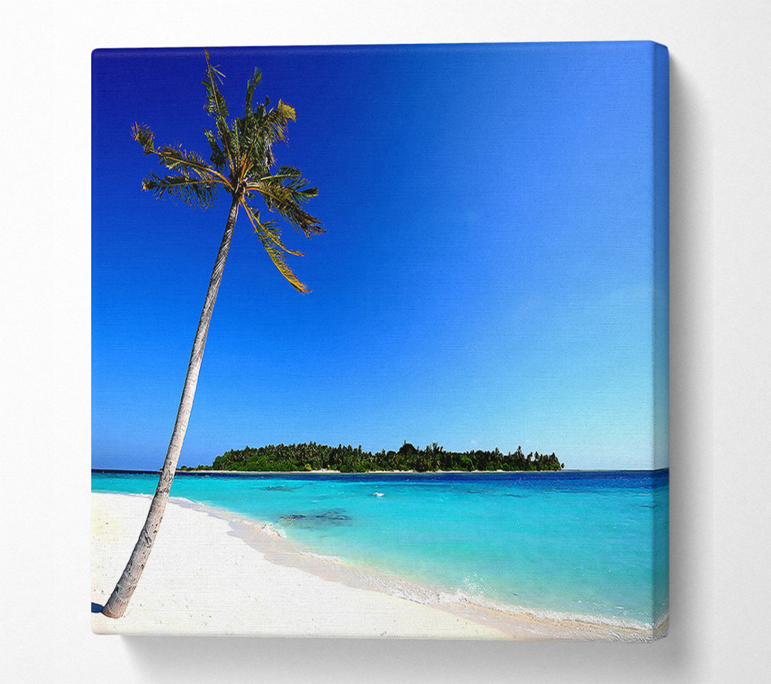  A Canvas Print of Maldivian Beach Canvas Wall Art