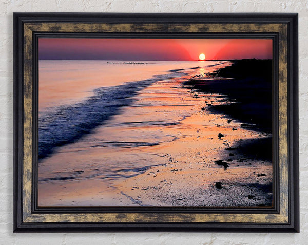 Pink Delight Framed Print