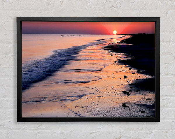 Pink Delight Framed Print