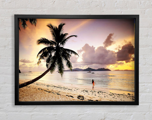 Rainbow Paradise Framed Print
