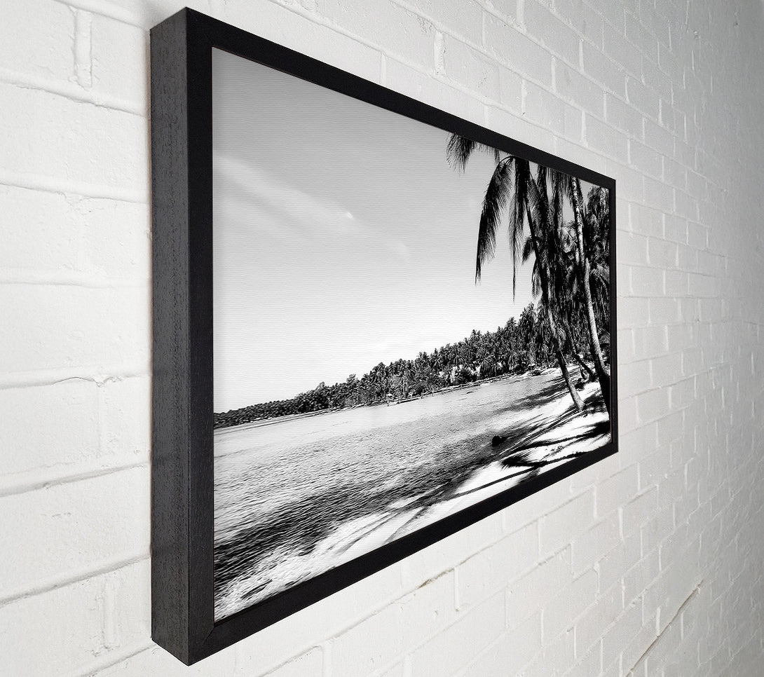  A Canvas Print of Beach Palms B n W Canvas Art