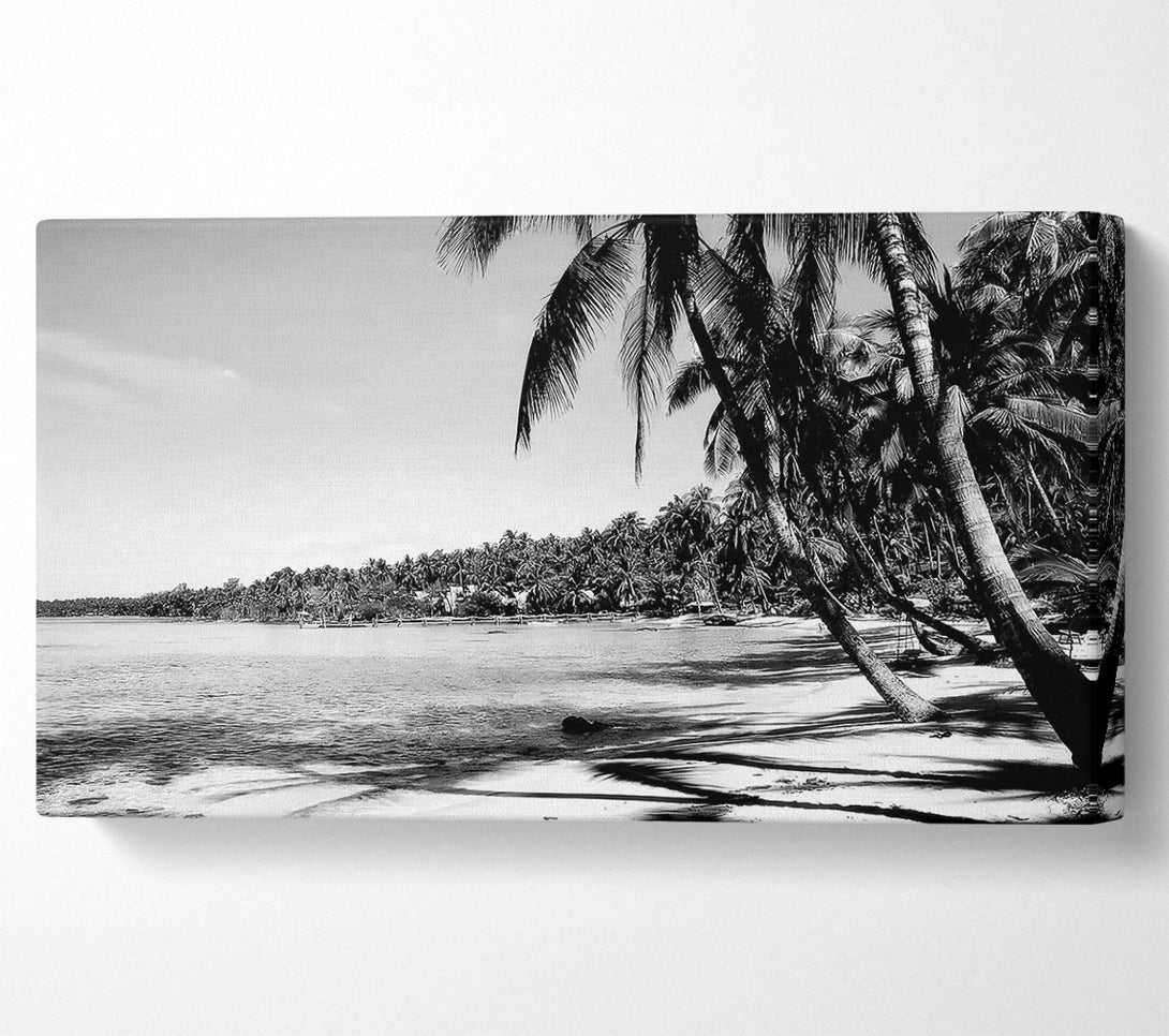  A Canvas Print of Beach Palms B n W Canvas Art