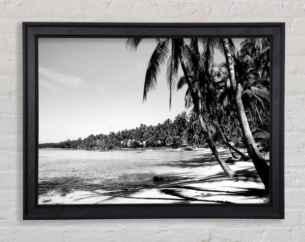 Beach Palms B n W Framed Print