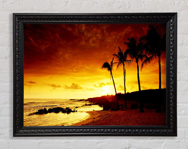 Caramel Palm Tree Sunset Framed Print