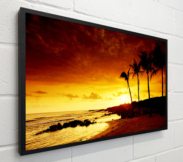 Caramel Palm Tree Sunset