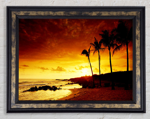 Caramel Palm Tree Sunset Framed Print