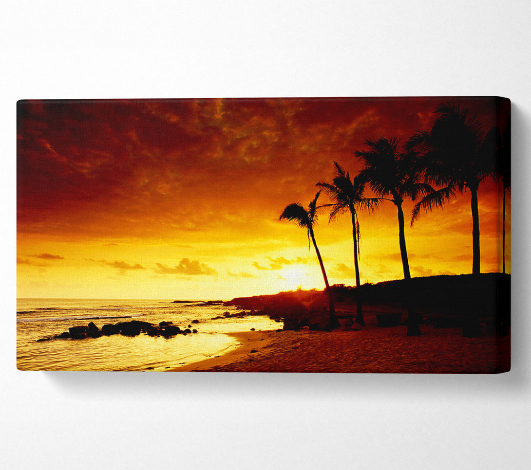  A Canvas Print of Caramel Palm Tree Sunset Canvas Print