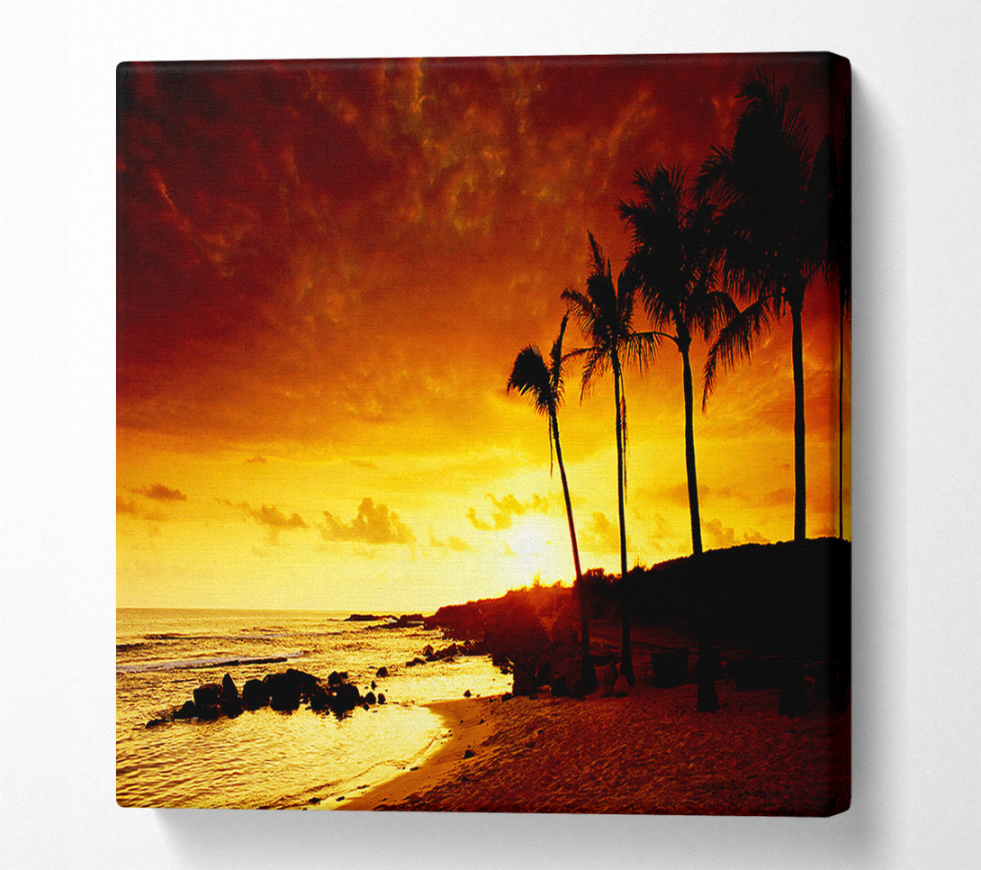  A Canvas Print of Caramel Palm Tree Sunset Canvas Print