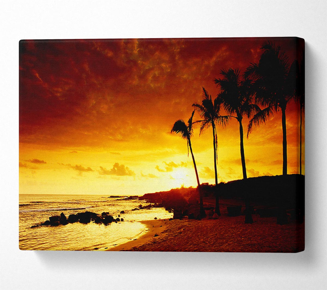  A Canvas Print of Caramel Palm Tree Sunset Canvas Print