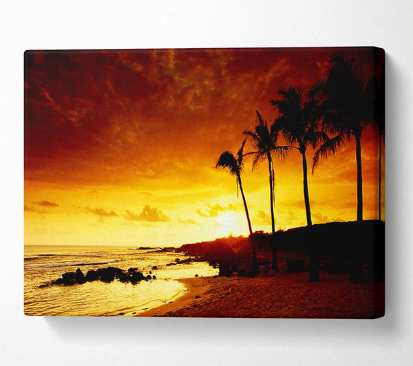  A Canvas Print of Caramel Palm Tree Sunset Canvas Print