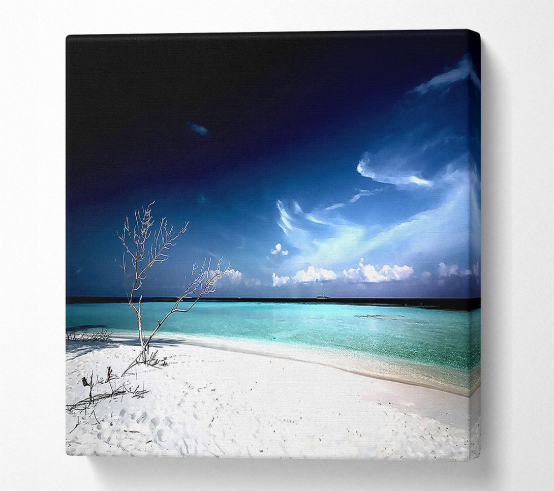  A Canvas Print of Perfect White Sands In The Dark Blue Skies Canvas Print