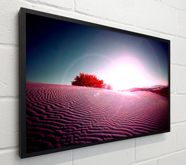 Desert Flare