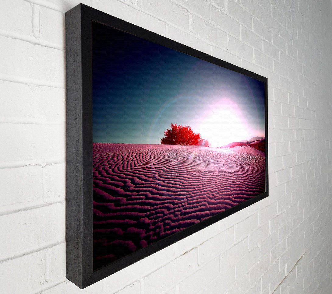  A Canvas Print of Desert Flare Canvas Print