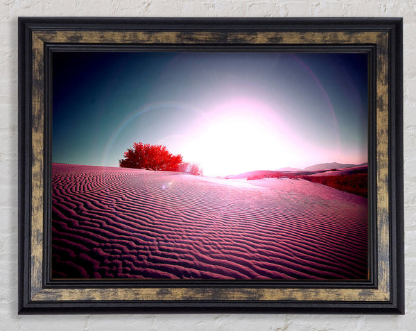 Desert Flare Framed Print