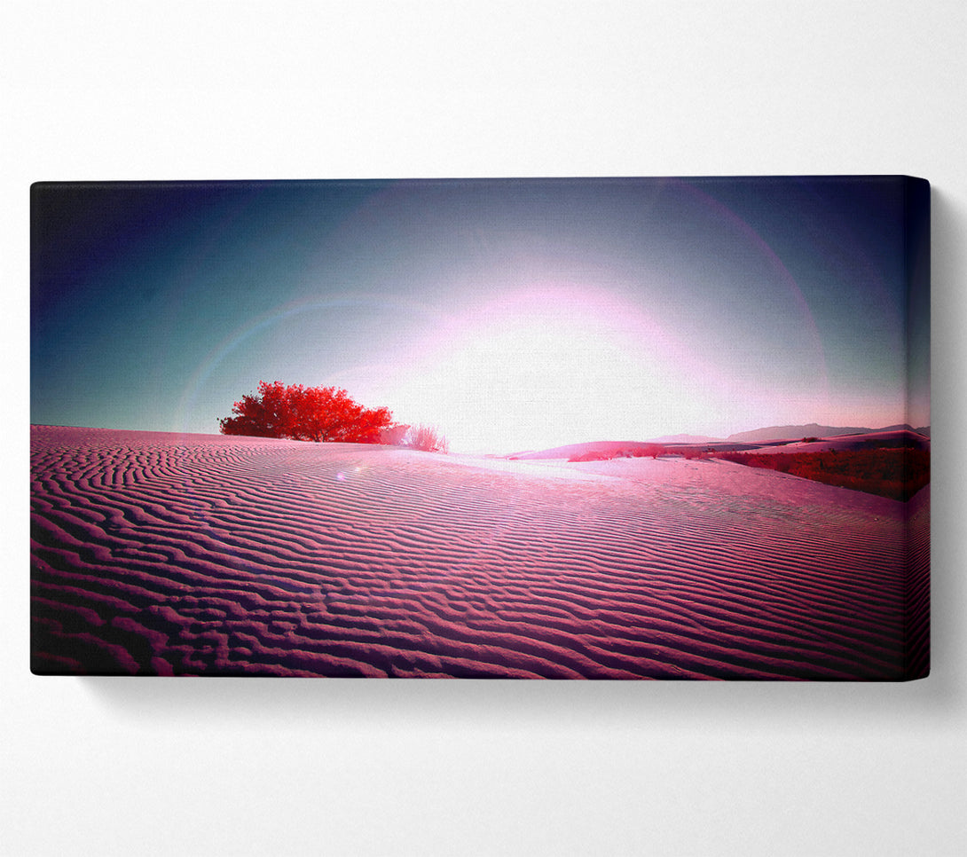  A Canvas Print of Desert Flare Canvas Print
