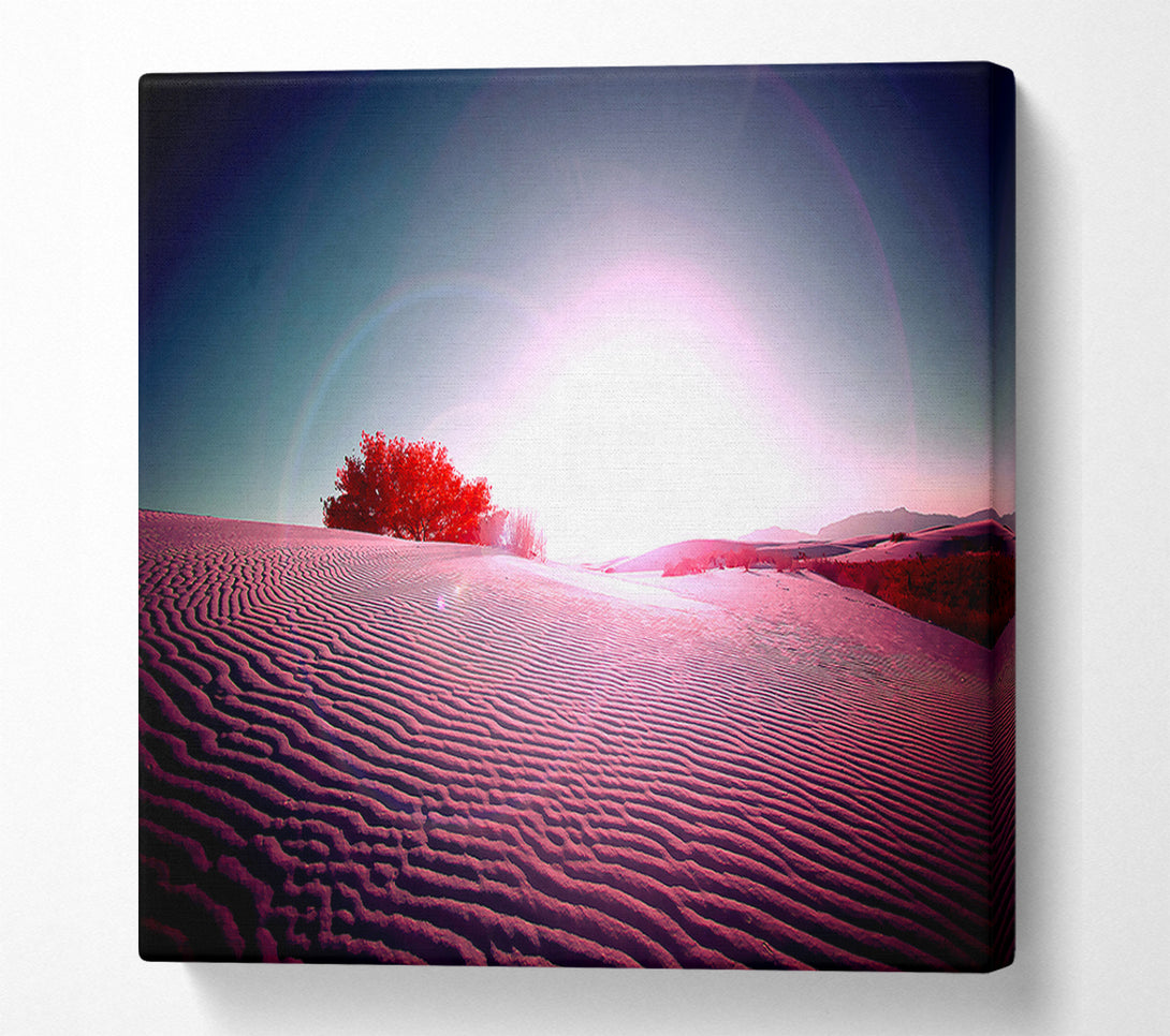  A Canvas Print of Desert Flare Canvas Print