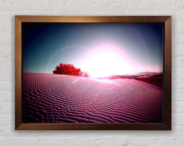Desert Flare Framed Print