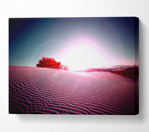  A Canvas Print of Desert Flare Canvas Print