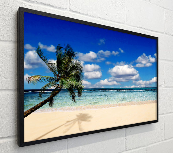 Palm Tree Island Paradise