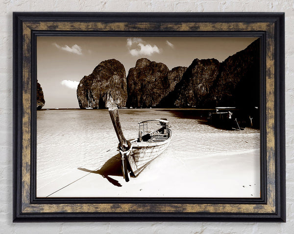 Paradise Cove Coco Framed Print