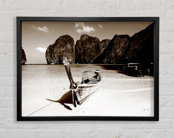 Paradise Cove Coco Framed Print