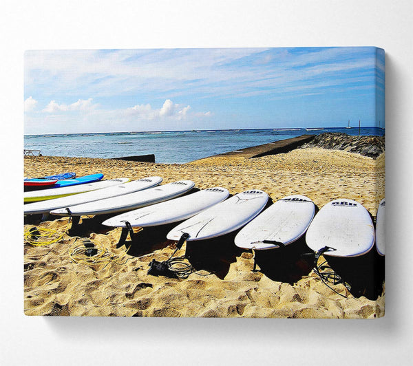  A Canvas Print of Surfboard Pick Canvas Print