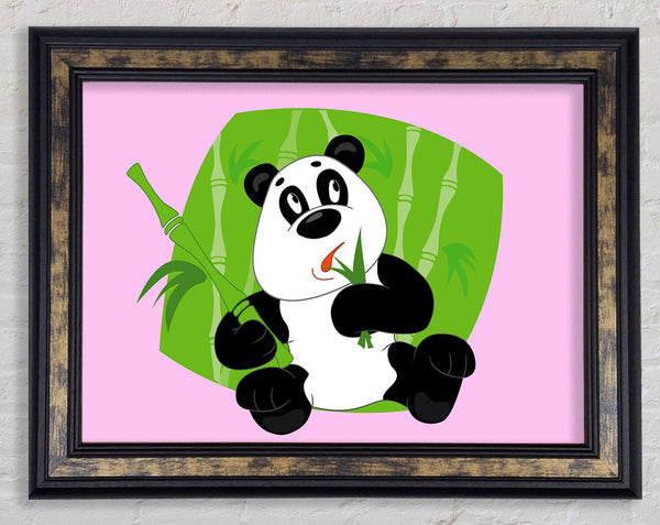 Panda Eating Bamboo Pink Framed Print