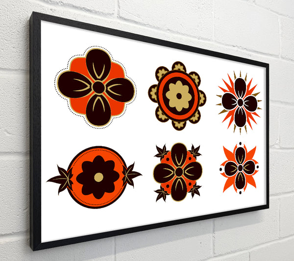 Orange And Brown Flower Heads