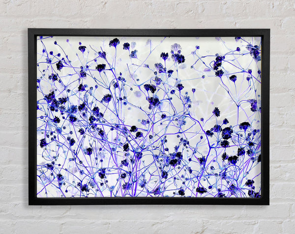 Soft Purple Flowers Framed Print