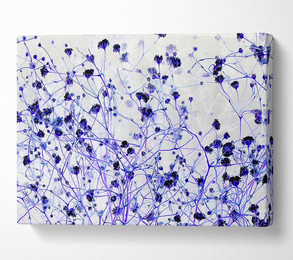 Soft Purple Flowers