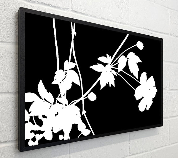 Garden Delight White On Black