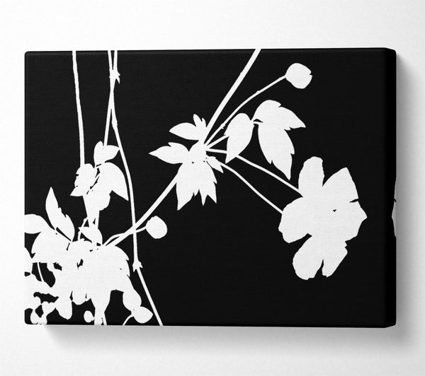Garden Delight White On Black
