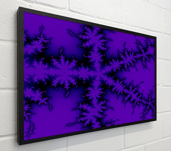 Internal Snow Flake Black On Purple