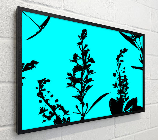 Freshness Of Beauty Aqua Black