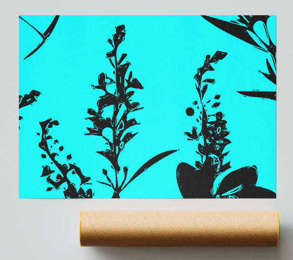Freshness Of Beauty Aqua Black Print