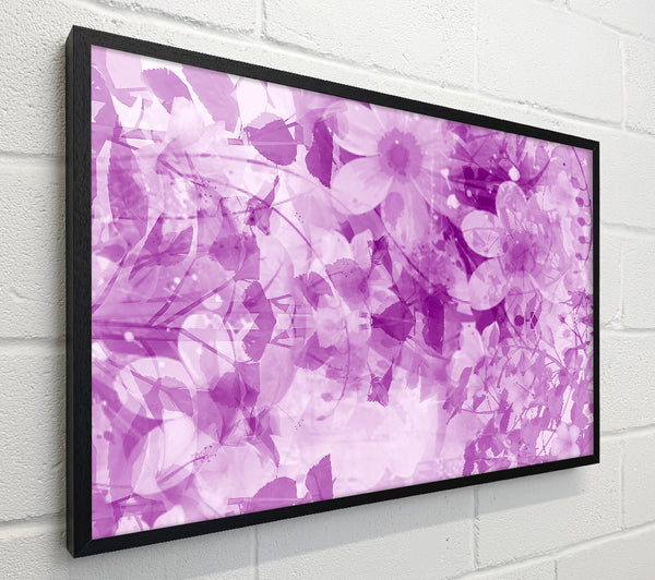 Paradise Lilac