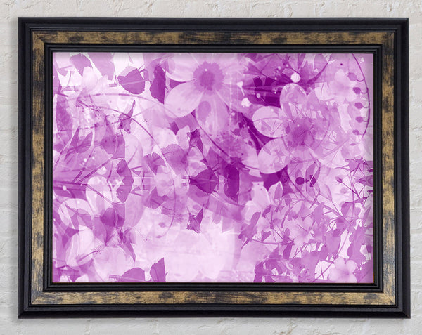 Paradise Lilac Framed Print
