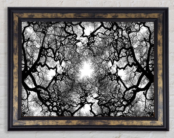 The Suns Shelter Framed Print