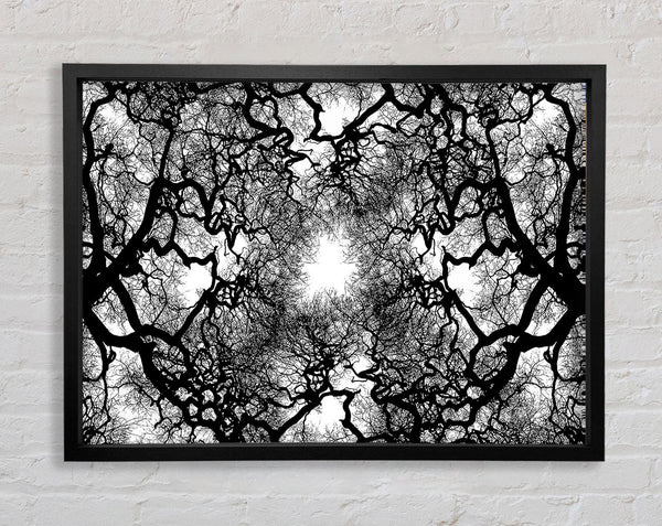 The Suns Shelter Framed Print